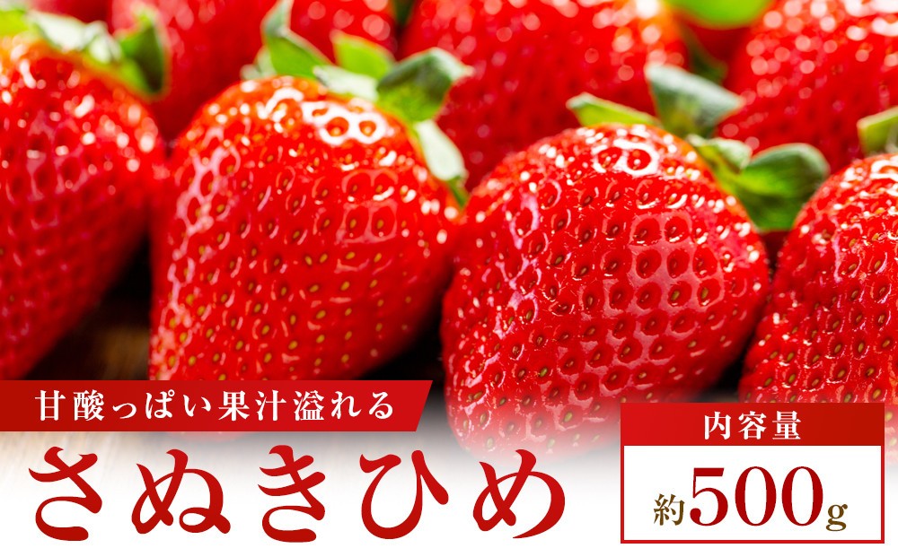 
                  【食べきりサイズ】さぬきひめいちごDXパック　約500g
                