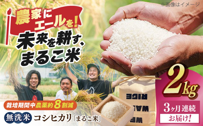 
            【全3回定期便】無洗米 コシヒカリ 滋賀県西浅井町産「まるこ米」2kg　滋賀県長浜市/ONE SLASH 株式会社[AQCZ013]  米 お米 白米 無洗米 こしひかり 2kg 地域 応援 定期便
          