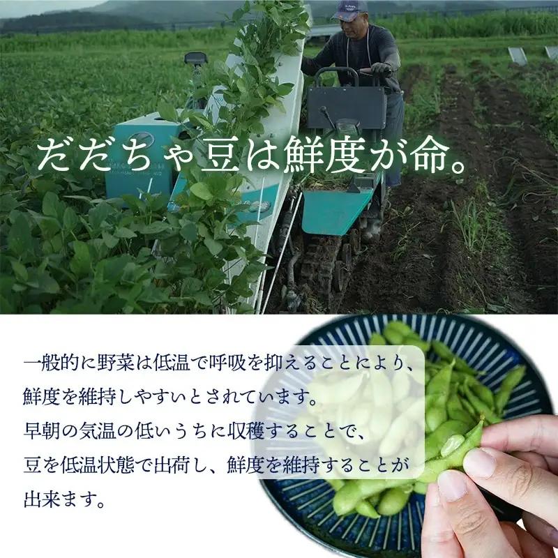 【令和8年産先行予約】【訳あり】白山だだちゃ豆　5kg（1kg × 5袋）　長五郎
