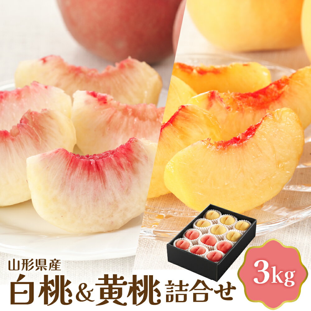 【ふるさと納税】【令和8年産】 白桃 ＆ 黄桃 詰め合わせ 3kg | フルーツ 果物 桃 詰め合わせ 食べ比べ 人気 贈答 青果 冷蔵便 産地直送 お取り寄せ グルメ 送料無料 東北 山形県 河北町 【JAさがえ西村山】