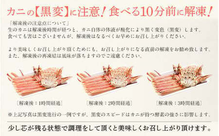 【12月26日～12月31日着(指定日不可)】年内お届け先行予約受付中！カット済ズワイ蟹ハーフポーション1.2kg（400g × 3箱）[053-b009]【人気のカニ 蟹ポーション しおそう ずわい