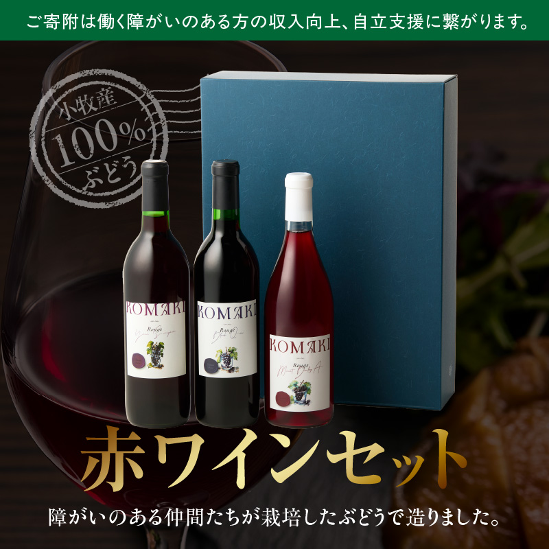 小牧ワイナリー 赤ワイン３本飲み比べセット（小牧産ぶどう100％使用）