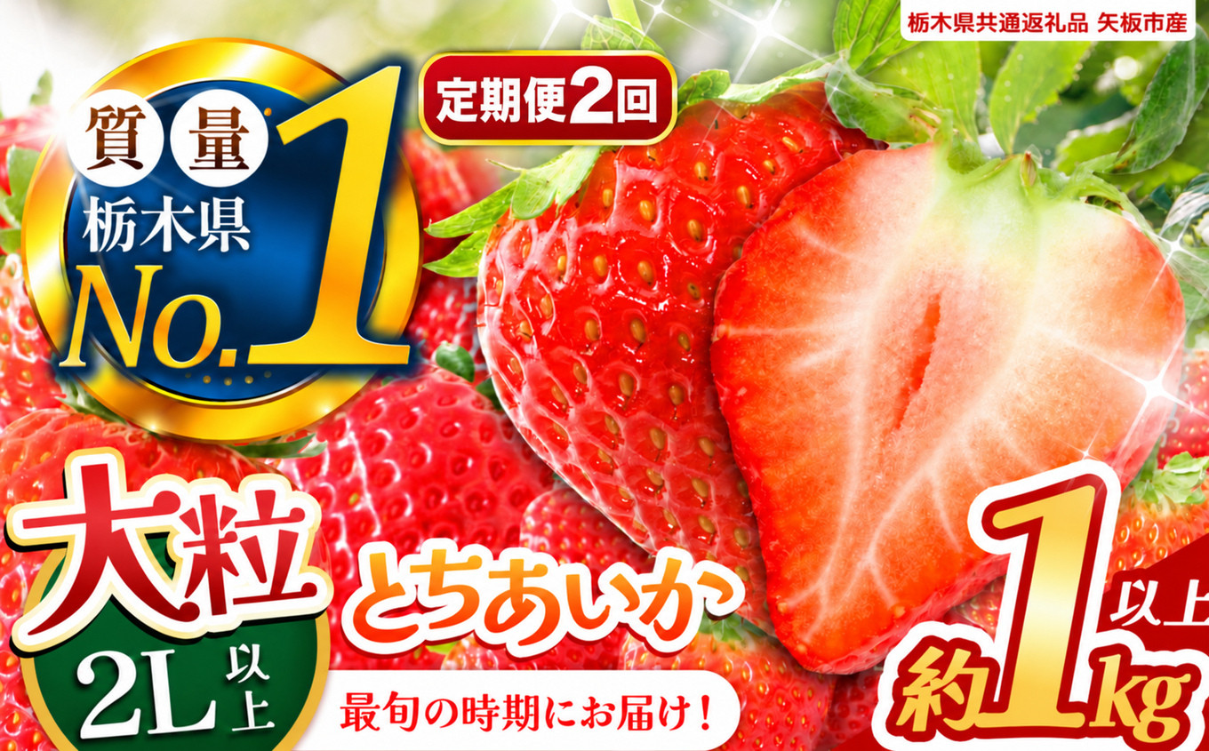 【定期便2回】いちご 2L以上 大粒 とちあいか1kg以上【2027年先行予約】 | 苺 イチゴ 栃木県共通返礼品 栃木県矢板市産 【定期便2回】大粒とちあいか 1kg｜22000円