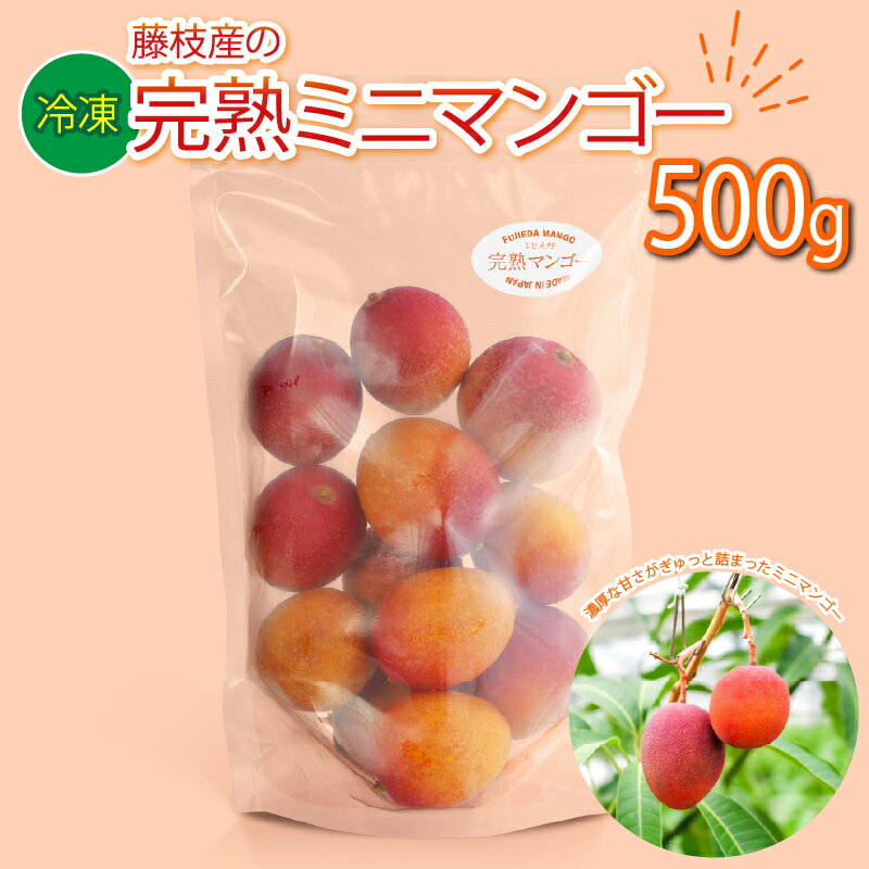 【ふるさと納税】 マンゴー 完熟 冷凍 ミニマンゴー 500g 国産 フルーツ 果物 デザート スイーツ おやつ トッピング 甘い 静岡県 藤枝市