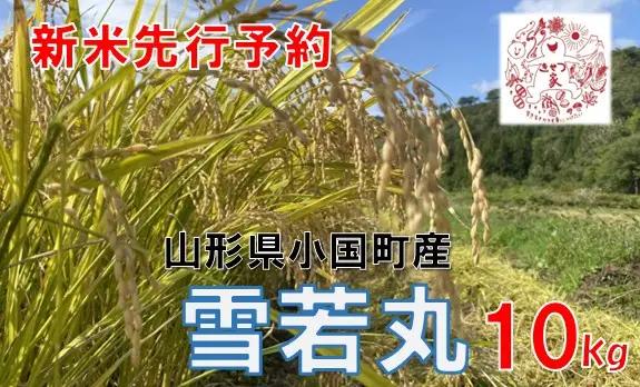 【令和８年産米 先行予約】山形県小国町産　雪若丸10kg　きせつ家