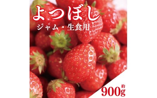 先行予約 訳あり いちご よつぼし 900g ジャム用 加工用 果物 フルーツ 苺 ストロベリー ケーキ アイス シャーベット ジェラート ゼリー ジュース ジャム スムージー 洋菓子 和菓子 お菓子 おやつ フルーツサンド フルーツ大福 苺大福 不揃い 規格外 家庭用 人気 オススメ お取り寄せ グルメ 徳島県 阿波市 チタチタストロベリーファーム