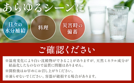 【6ヶ月定期便】天然水 サクラシリカ 500ml × 24本 天然水