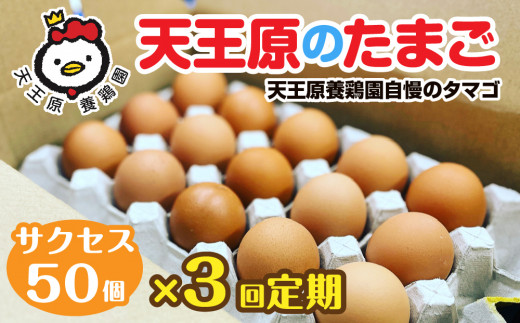 【定期便】3回定期 【天王原のたまご】 サクセス卵 50個入り 【定期便 3回定期便 セット たまご 卵 玉子 タマゴ 濃厚  ハリ 弾力 ボリューム 甘味 旨味 卵黄 風味 生 コク 甘味 卵かけご飯 卵焼き 目玉焼き オムレツ 茶碗蒸し お菓子作り パンの材料】
