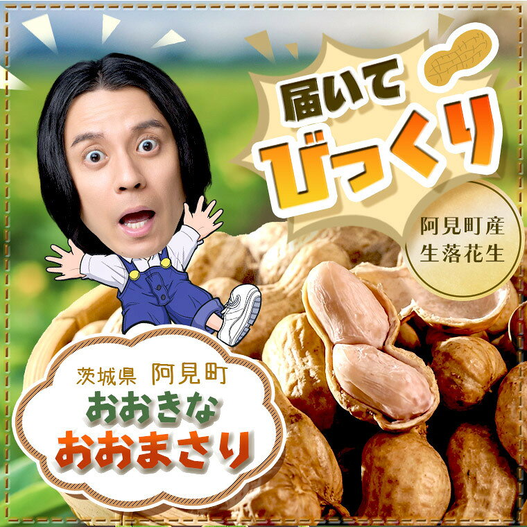 【ふるさと納税】落花生 生 おおまさり 1kg(250g×4袋) 外見A品 先行予約 大粒 落花生 ゆで落花生 ピーナッツ 国産 産地直送 茨城県産 茨城県 阿見町 【発送期間：2026年11月1日～11月30日】(108-02)