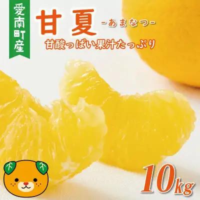 【先行予約：2026年12月中旬～発送】訳あり 甘夏 10kg くらもとファーム 愛媛県 愛南町