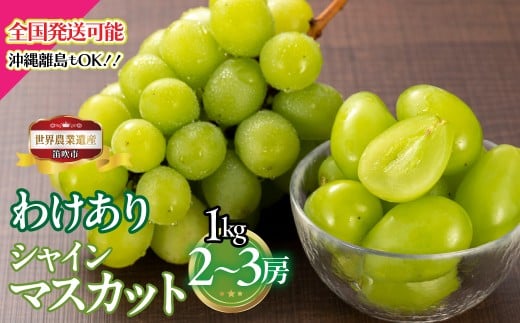 【2026年発送★先行予約】山梨県笛吹市産　わけありシャインマスカット　1kg　2房から3房 223-008-26y