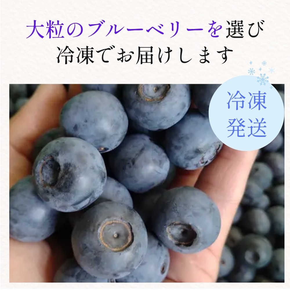有機JAS〈無農薬〉ブルーベリー1kg 冷凍 オーガニック フルーツ 果物 国産 兵庫県丹波篠山市 ベリー類 デザート