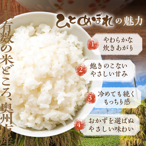 数量限定 令和7年産 岩手県奥州市産 特用ひとめぼれ 白米 10kg 生活応援 緊急支援 [AC040]