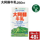 【ふるさと納税】【定期便】【1ヶ月毎2回】大阿蘇牛乳 250ml 24本 計48本（24本×2回） 牛乳 ミルク 成分無調整牛乳 乳飲料 乳性飲料 熊本県産 国産 九州 熊本県 菊池市 送料無料