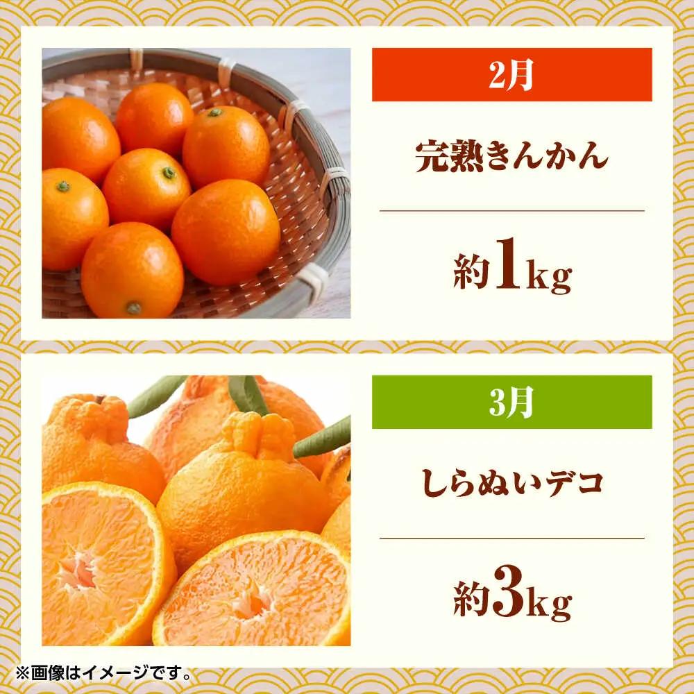 【先行予約】フルーツ6ヶ月定期便【2月~7月】果物定期便すいかメロン [ZBG077]