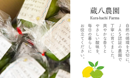 大崎上島産 有機レモン 3kg （目安25〜30個程度）