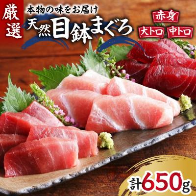 ふるさと納税 三浦市 本物の味をお届け!厳選!天然三崎まぐろ 大トロ・中トロ・赤身セット