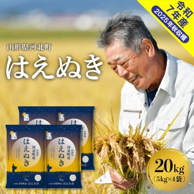ふるさと納税 河北町 【令和7年産米】2026年5月下旬発送 はえぬき20kg(5kg×4袋) 山形県産