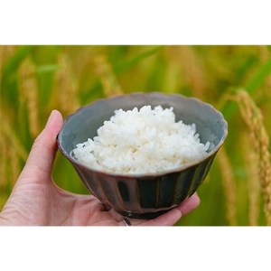 2024年6月発送開始『定期便』【無洗米】奈良県大和高田市産ヒノヒカリ5kg 全12回【5161162】