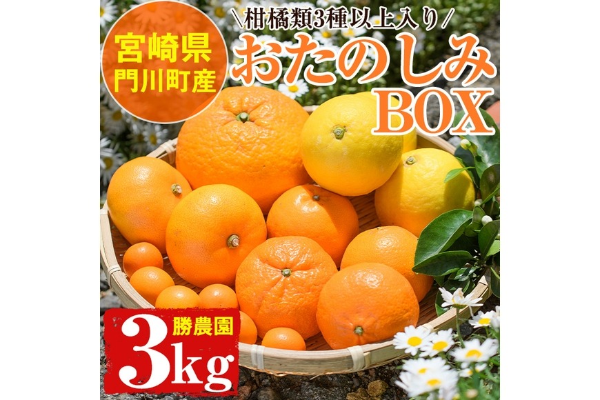 ＜先行予約受付中！2026年2月中旬～5月上旬の間に発送予定＞柑橘類おたのしみBOX(約3kg・3種類以上) 柑橘 果物 数量限定 期間限定 国産 フルーツ 詰め合わせ セット 遠見半島 宮崎県 門川町 【勝農園】【AE-22】