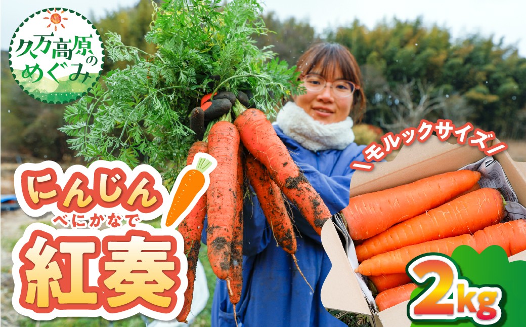 
                  【産地直送】【先行予約】モルックサイズ！？ 特大にんじん（紅奏）2kg ｜ 人参 ニンジン ニンジンジュース  高原野菜 久万高原町 ※離島への配送不可 ※2026年12月上旬～2027年2月上旬頃に順次発送予定
                