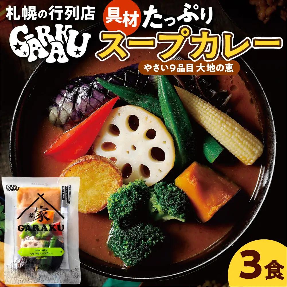家GARAKU やさい9品目大地の恵スープカレー | スープカレー GARAKU 札幌スープカレー カレー 北海道 札幌市