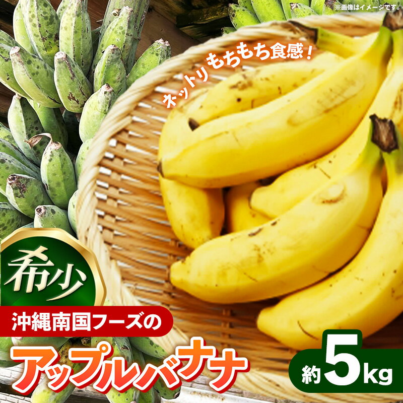 【ふるさと納税】国産 希少種！南国フーズのアップルバナナ 約5kg - バナナ ばなな 小ぶり 沖縄県 産地直送 果物 フルーツ 南国 朝食 おすすめ 沖縄県 八重瀬町