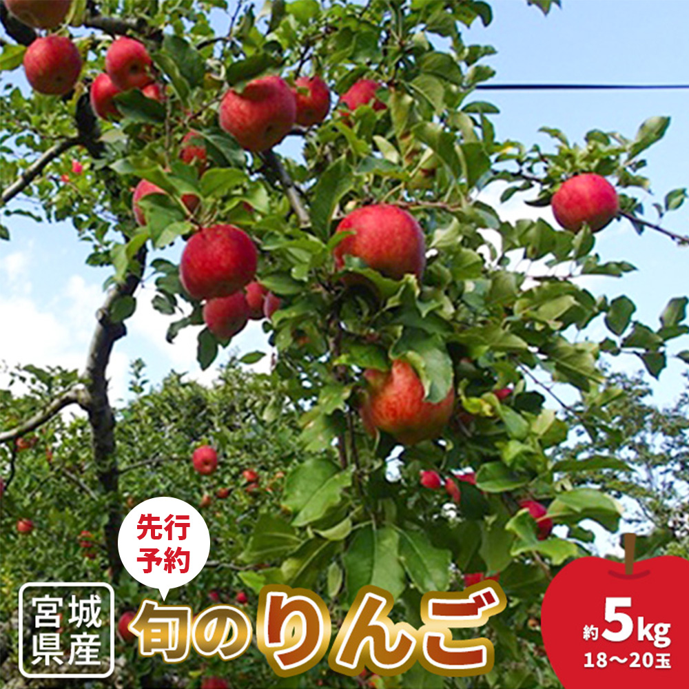 【先行予約】★数量限定★旬のりんご 約5kg (18～20玉)【1510301】