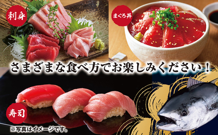 刺し身 本マグロ 900g 詰め合わせ 刺身 お刺し身 柵 マグロ 鮪