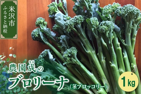 【 令和7年産 】 ブロリーナ 1kg （ 茎ブロッコリー ） 〔 2025年 9月～発送予定 〕 スティックセニョール ブロッコリー 野菜 産地直送 農家直送 2025年産