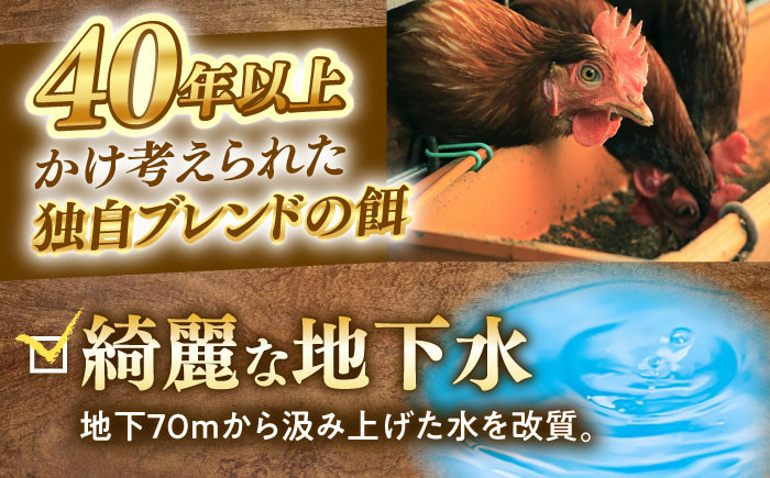 卵 玉子 タマゴ たまご