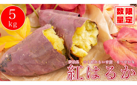 オーガニックさつまいも5kg【農薬・肥料不使用】【茨城県共通返礼品 つくばみらい市】  ※2025年10月下旬～2026年2月下旬頃発送予定