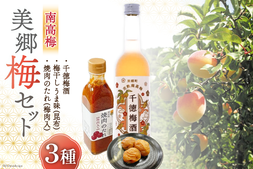 南高梅使用！ 梅酒 & 梅干し & 焼肉のたれ セット [農林産物直売所 美郷ノ蔵 宮崎県 美郷町 31ab0083] 酒 お酒 梅干 うめぼし 焼肉 タレ