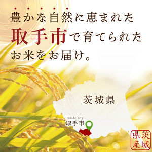 【数量限定】R7年産取手市産あきたこまち 無洗米10kg（5kg×2袋）|お米 米 新米 白米 茨城県 取手市（BS014）