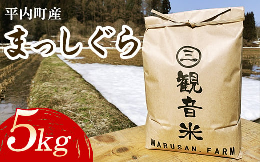 
100年続く米農家 新米 まっしぐら 5kg （令和6年産） 【マルサンファーム】 白米 精米 米 お米 おこめ コメ 東北 青森県 平内町 F21J-118
