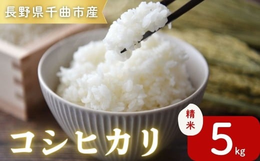 令和7年産コシヒカリ精米5kg｜ コシヒカリ ご飯 米 白米 千曲市 長野県 信州
