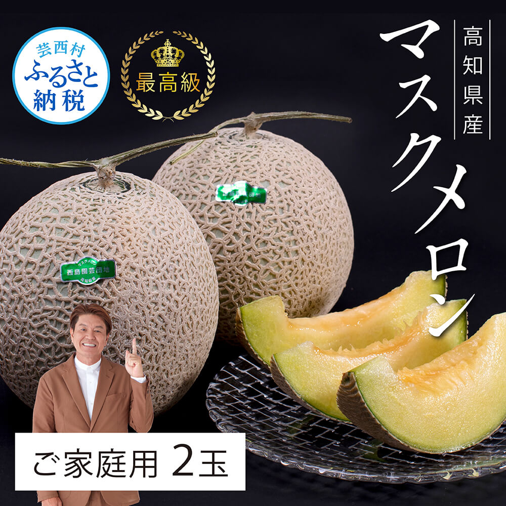 【ふるさと納税】 コロナ 緊急支援 高知県産 高級マスクメロン（ご家庭用）2玉入 故郷納税 2万円【発送期間：4月〜12月（9カ月）】【1月〜3月は気候温度不安定の為出荷不可となります。】〈南国市共通返礼品〉家庭用 訳あり
