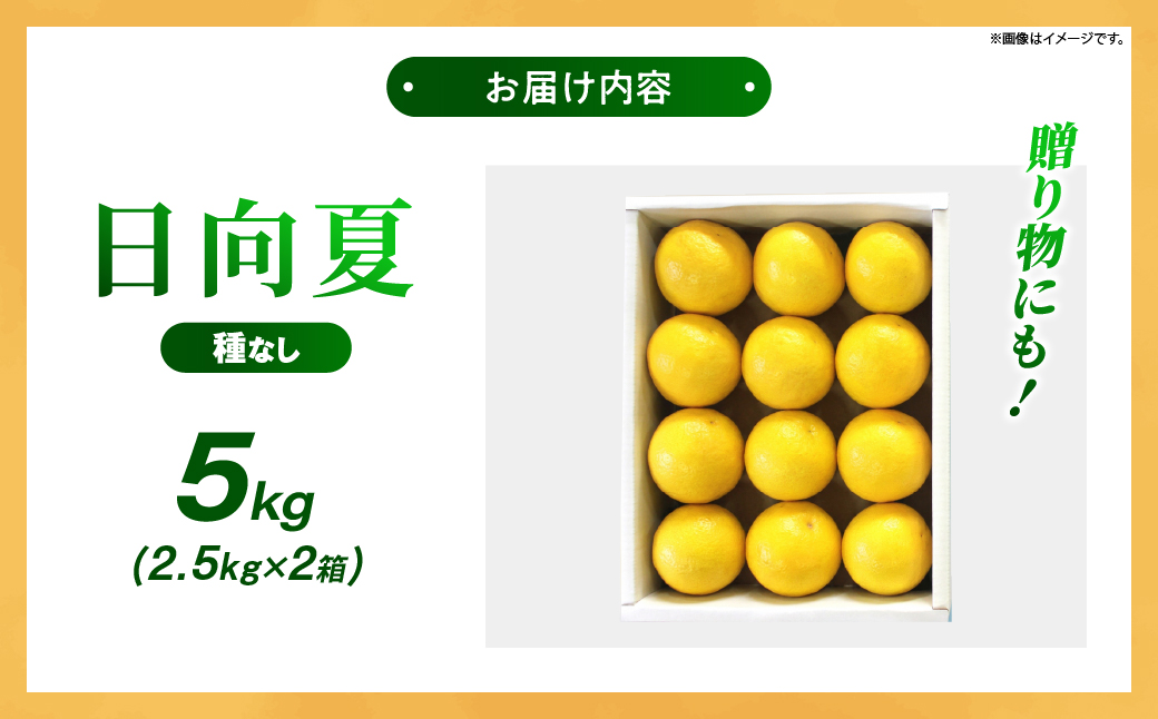 【先行受付】初春の旬「日向夏」種なし 5kg 果物 フルーツ くだもの 柑橘 フルーツサンド おやつ スイーツ デザート ジャム おすすめ ギフト 贈り物 贈答 プレゼント おすそ分け お返し 宮崎県 綾町 送料無料【JA綾町】_A0114-241