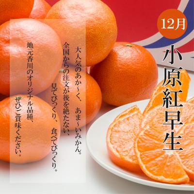 ふるさと納税 三豊市 【発送月固定定期便】冬のいいとこどり定期便♪(12月・1月・2月)全3回 |  | 01