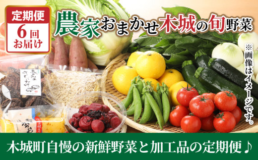 農家おまかせ木城の旬野菜定期便6回 K04_T002_2
