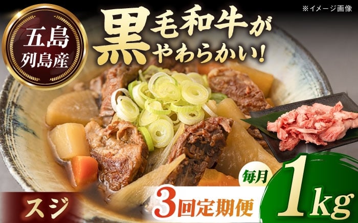 
            【全3回定期便】五島列島産 黒毛和牛 スジ 1kg 五島市/山口Farm [PGJ026]
          