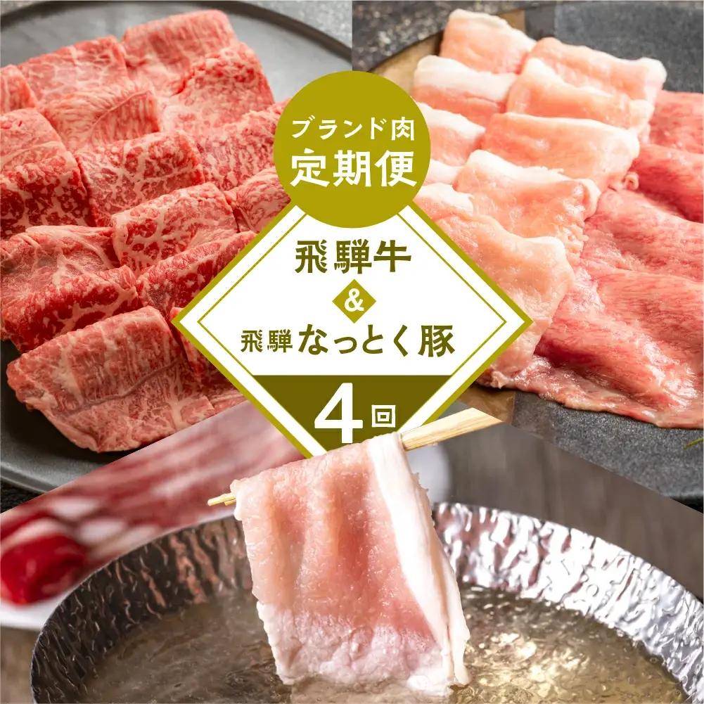 【定期便 4回】 飛騨牛 ＆ なっとく豚 定期便 4回 牛肉 / 豚肉 食べ比べ (焼肉 / すき焼き / しゃぶしゃぶ / 豚しゃぶ) 【tc1】