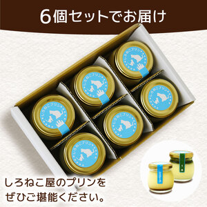 プリン 手作り カスタード プリン 玉露 プリン 各3個 計6個セット お菓子 デザート スイーツ おいしい おやつ 洋菓子 ご褒美 送料無料 静岡県 藤枝市 ( ﾌﾟﾘﾝ ﾌﾟﾘﾝ ﾌﾟﾘﾝ ﾌﾟﾘ