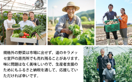 朝どれ野菜１０品目【４ヶ月連続定期便】～新型コロナ支援 _rk005