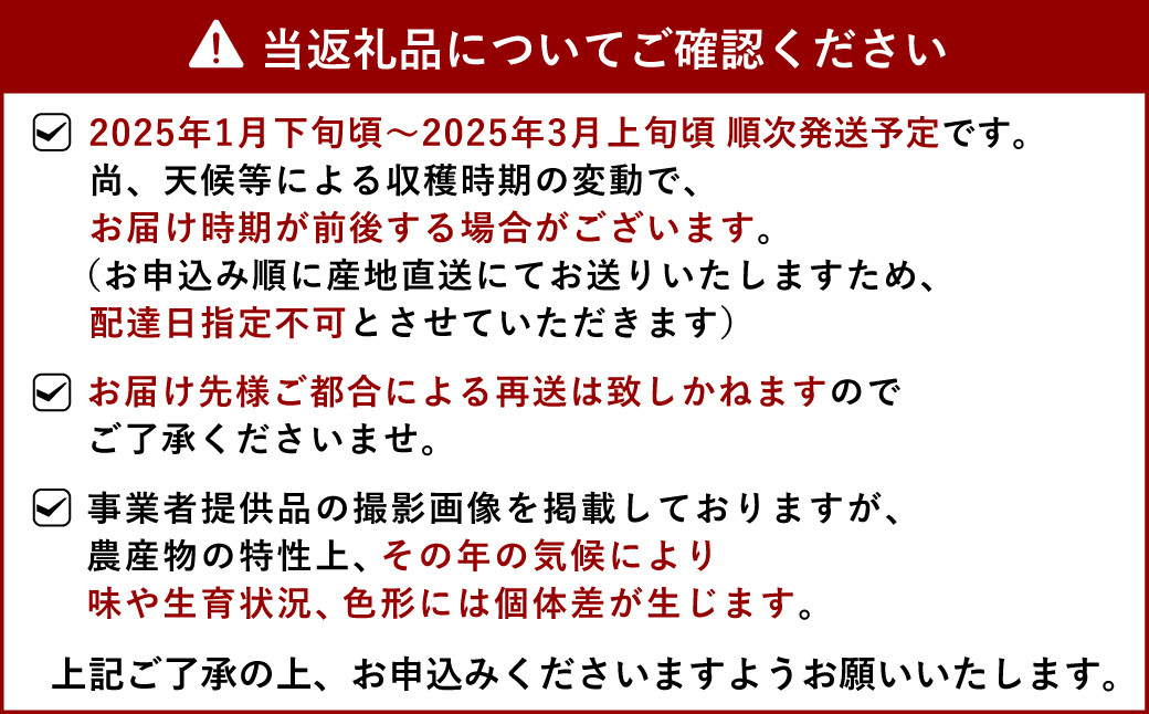 宇城市産 デコみかん 約11kg【2025年1月下旬から3月上旬発送】