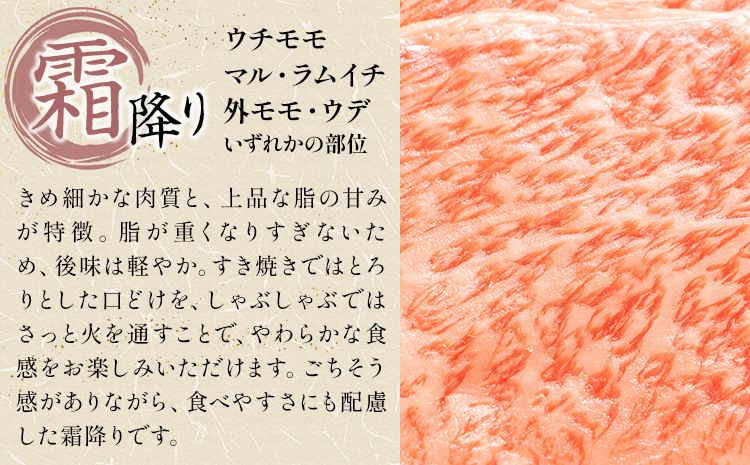 【6ヶ月定期便】岡山県産牛 スライス 霜降り 500g×6回《お申し込み月の翌月から出荷開始》 岡山県 笠岡市 肉 送料無料