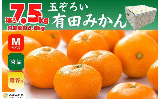 
            みかん Ｍサイズ 秀品 箱込 7.5kg (内容量約 6.8kg) 有田みかん 和歌山県産 産地直送 贈答用 ［2025年11月中旬より2026年1月中旬頃順次出荷予定］［みかんの会］
          