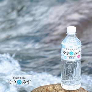 【2ヵ月毎定期便】北海道大雪山　ゆきのみず　550ml×24本入り【633】全4回【4066053】