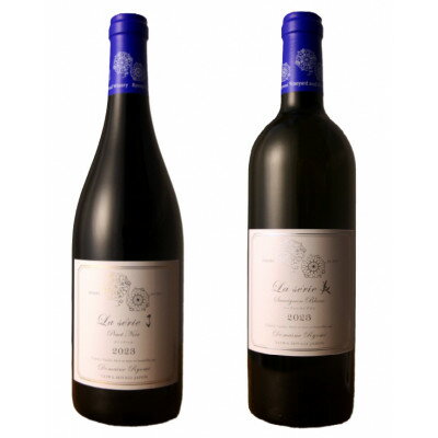 【ふるさと納税】自社葡萄を使用したワイン2本セット ピノノワール・ソーヴィニヨンブラン　750ml×各1本【1599871】