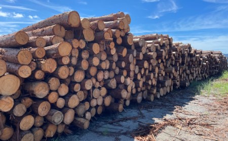 宿毛産丸太【ヒノキ】（20cm×35cm-） ヒノキ